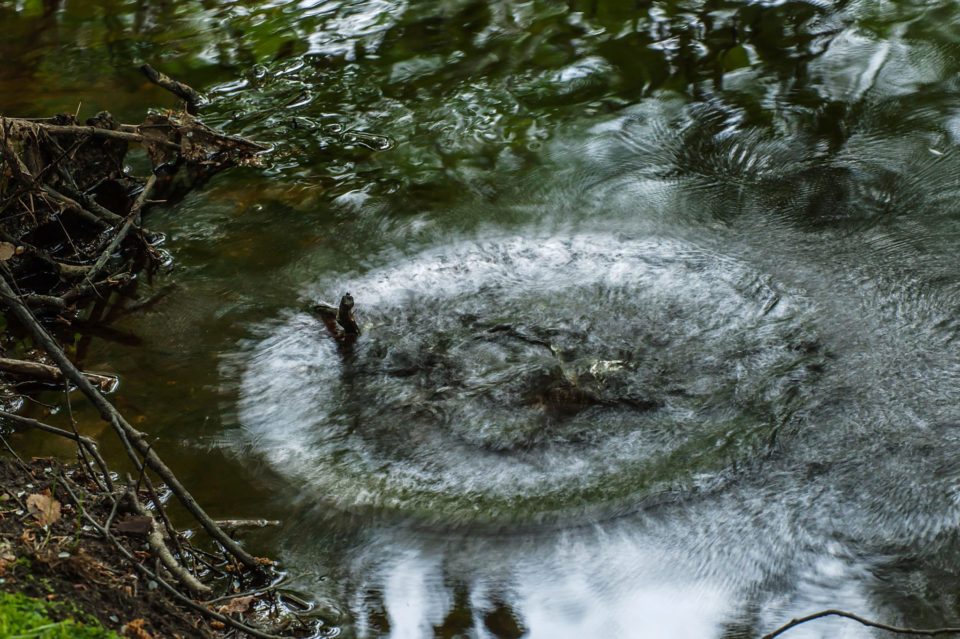 Kaaos – Chaos