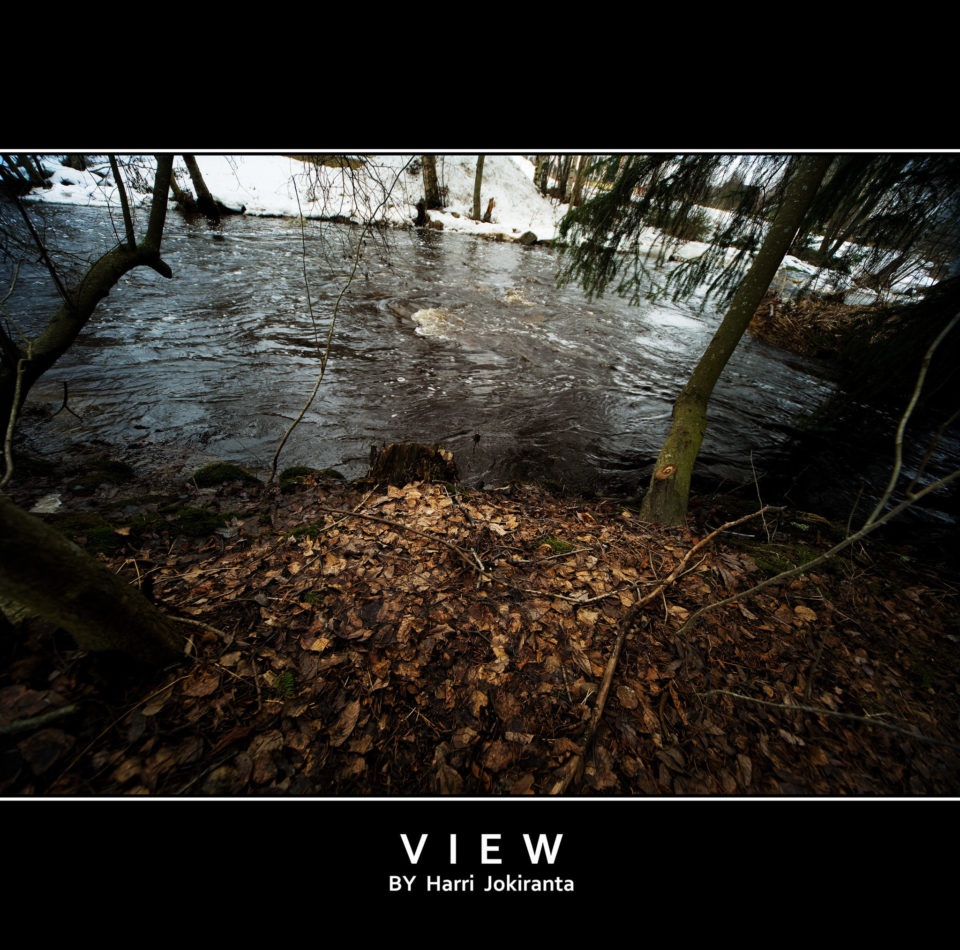 View / 2010