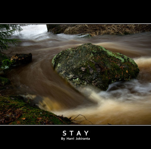 Stay / 2010
