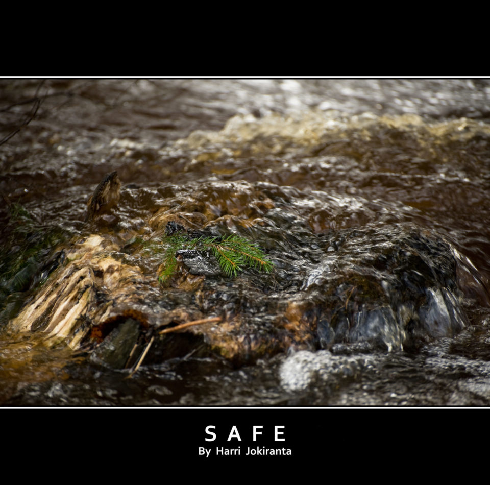 Safe / 2010