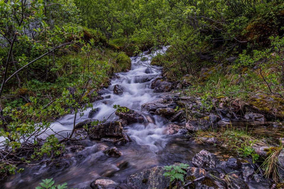 Small Stream at Artic Hill (Tromsø)