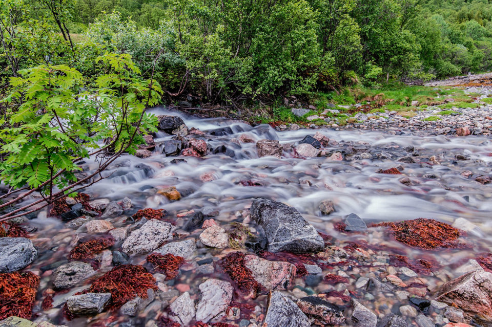 Strem running down to a fjord (Tromsø)