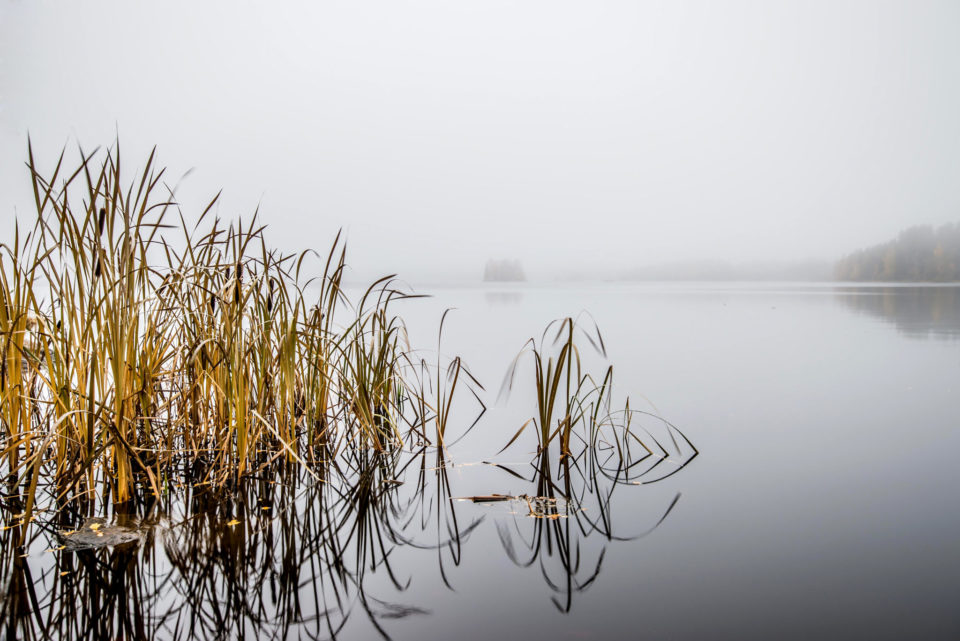 Sumuinen päivä #1 – One Foggy day #1
