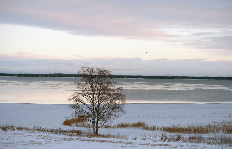 Hetki ennen … jäätymisen aika – One moment before