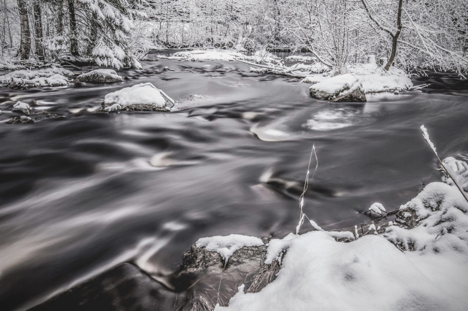 Joulupäivän rauhaa – Christmas Day