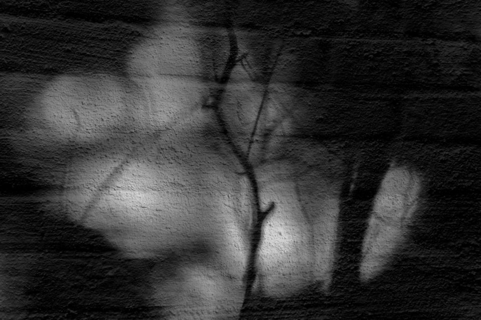 Spring on the Wall