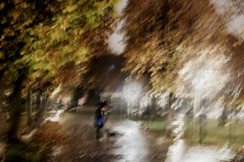 ”It is Raining Cats and Dogs” – Autumn feelings Vienna 2014