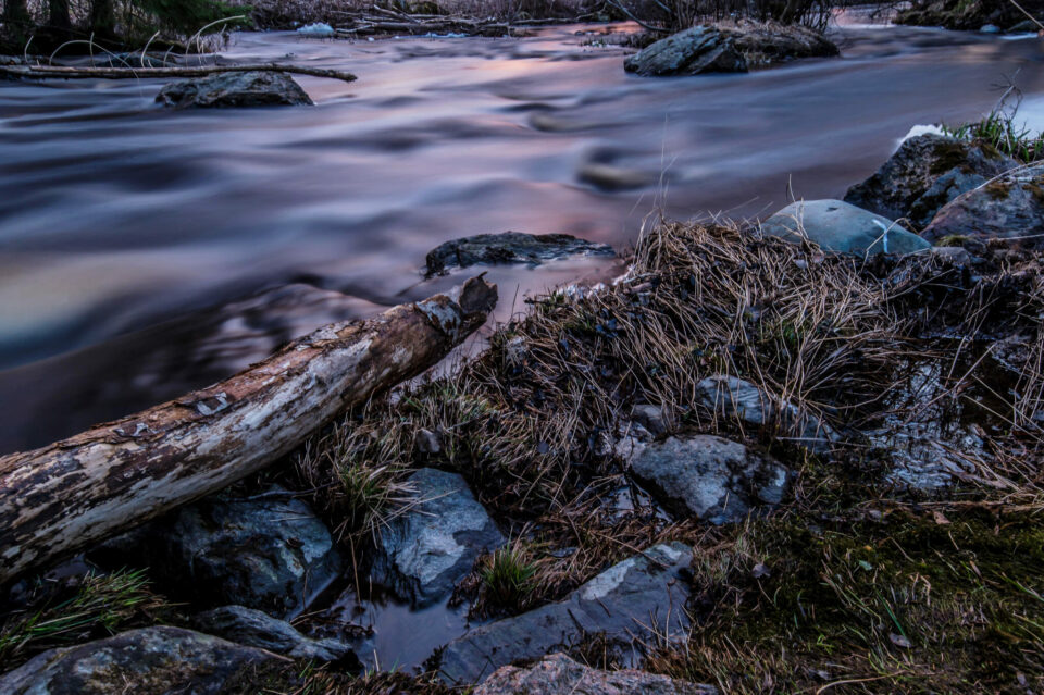 Evening at Pajuluoma Stream